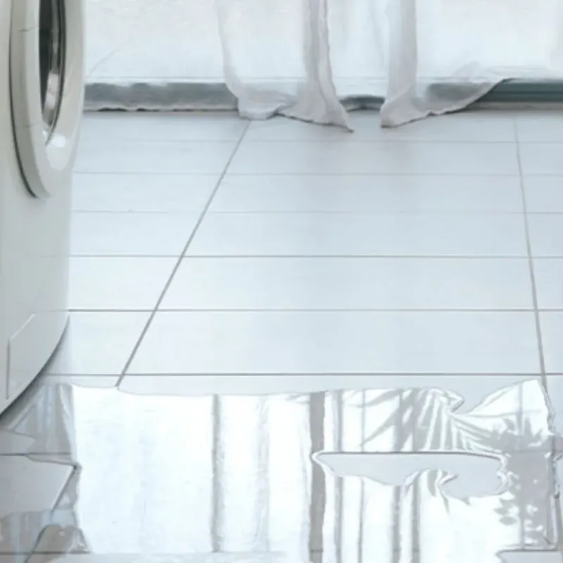Appliance Leak Cleanup in Rockwood, MI