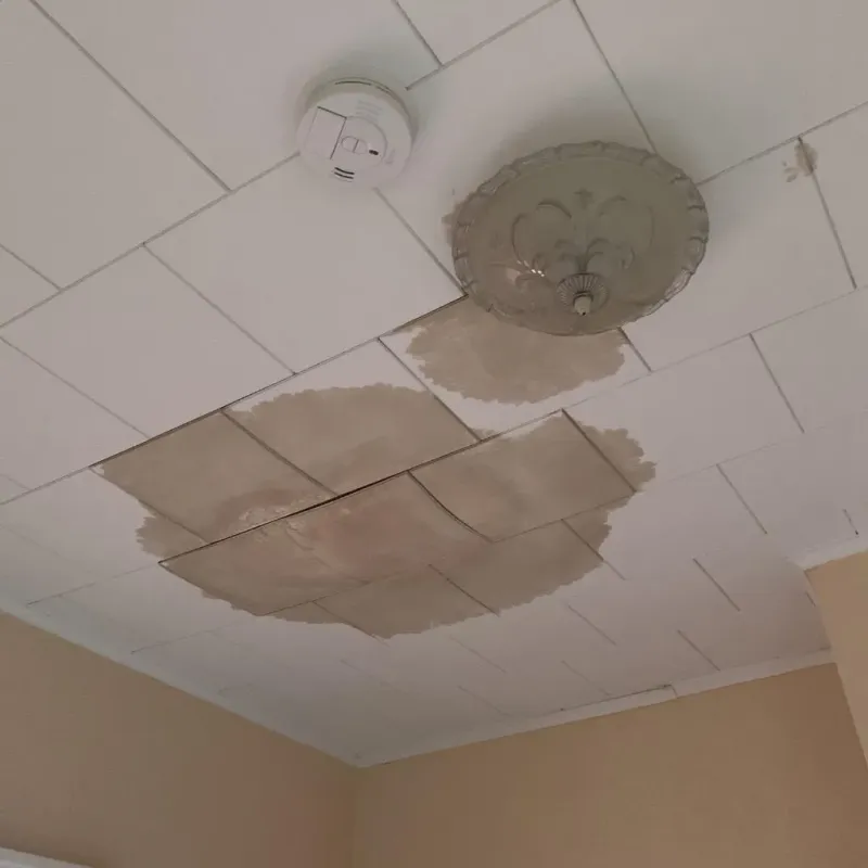 Ceiling Water Damage Repair in Rockwood, MI