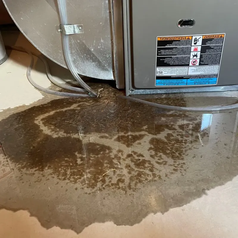 Pipe Burst and Leak Restoration in Rockwood, MI