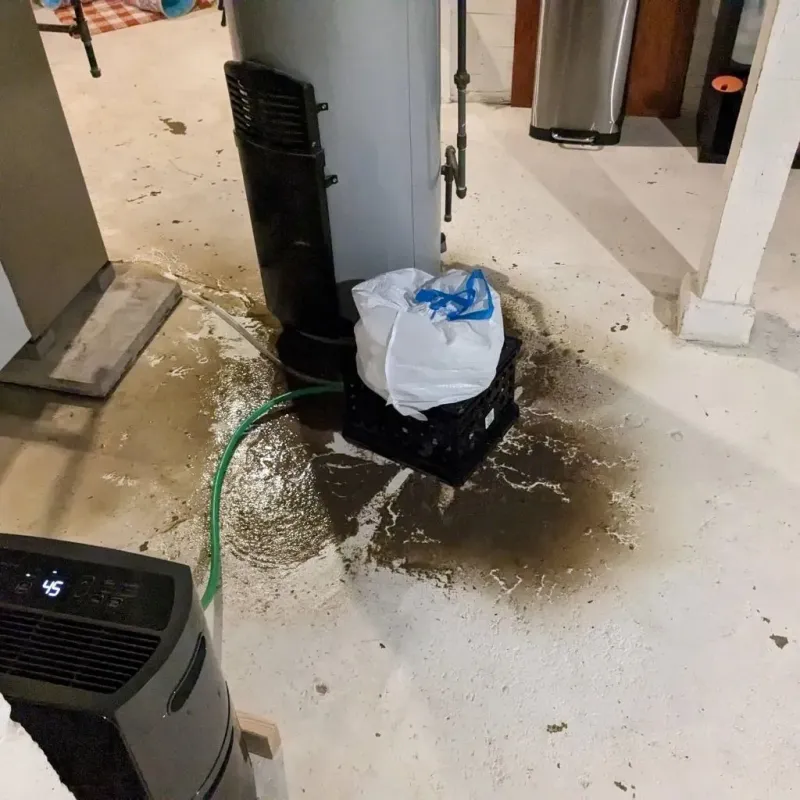 Sewage Backup Cleanup Service in Rockwood, MI